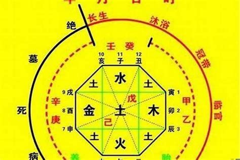 喜用神水的人特色|八字喜用神为水的人特点 – 喜用神为水的喜忌